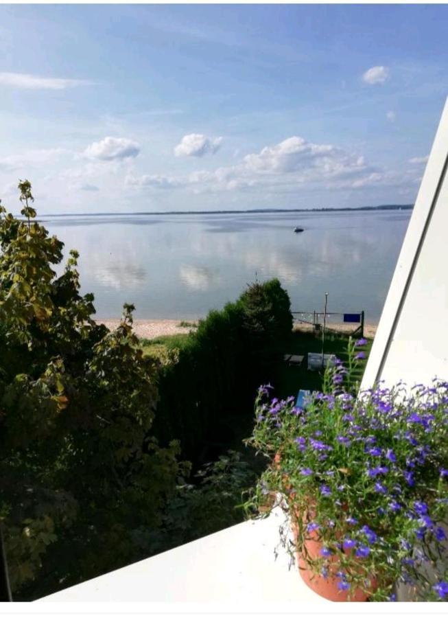 Wiatrak Nowe Guty Bed & Breakfast Exterior photo